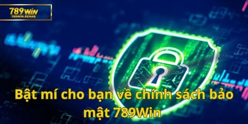 Giải đáp tất tần tật về các chính sách 789Win