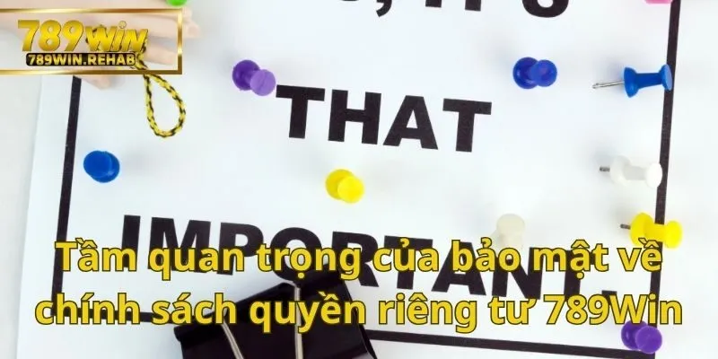 Chính sách quyền riêng tư 789Win gồm có những gì?