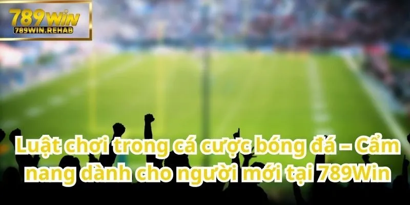Kiến thức cơ bản cho người mới