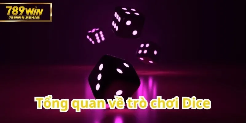 Khám phá những điều cơ bản về game Dice