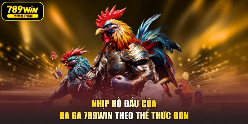 Nhịp hồ đấu của đá gà 789WIN theo thể thức đòn