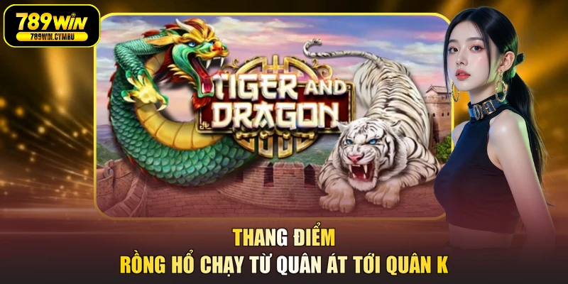 Thang điểm rồng hổ chạy từ quân Át tới quân K